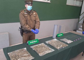 Incautan marihuana, éxtasis y hongo «cucumelo» que estaban en tubos de PVC
