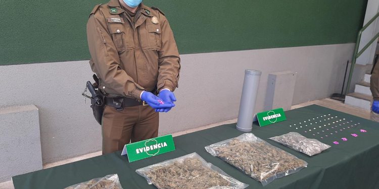 Incautan marihuana, éxtasis y hongo «cucumelo» que estaban en tubos de PVC