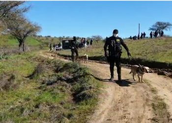 Intenso rastreo en valle del Itata para dar con paradero de mujer desaparecida hace más de un mes