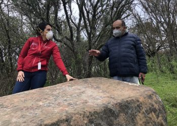 Ninhue: Vecinos encuentran petroglifos y se determinará su data