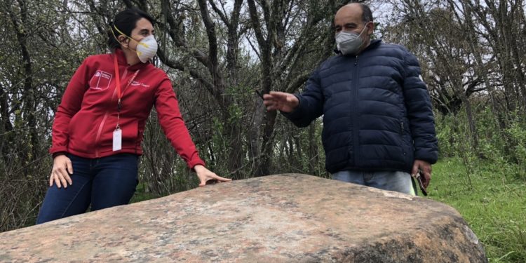 Ninhue: Vecinos encuentran petroglifos y se determinará su data