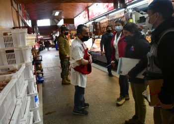 Autoridad Sanitaria ha decomisado 402 kilos de carne en Ñuble