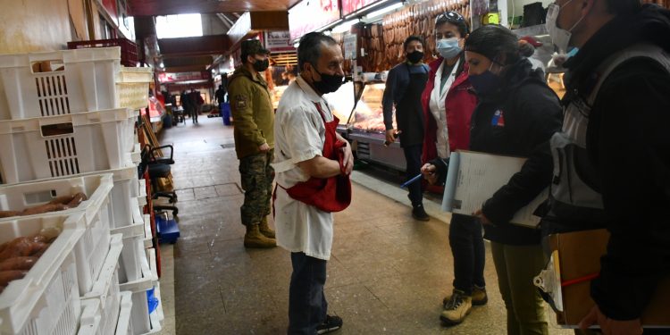Autoridad Sanitaria ha decomisado 402 kilos de carne en Ñuble