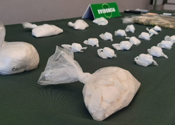 Logran la incautación de cocaína más grande del año en Ñuble