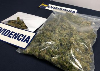 Detienen a sujeto que intentó fugarse de control policial con 500 gramos de cannabis
