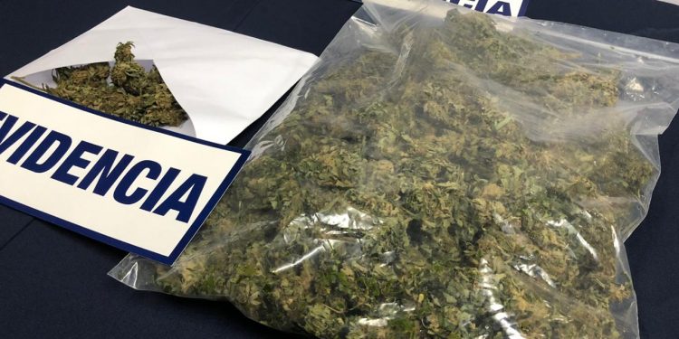 Detienen a sujeto que intentó fugarse de control policial con 500 gramos de cannabis