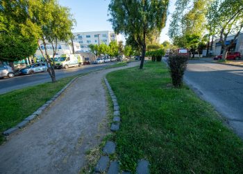 Chillán sumará nueva ciclovía bidireccional en Avenida Argentina