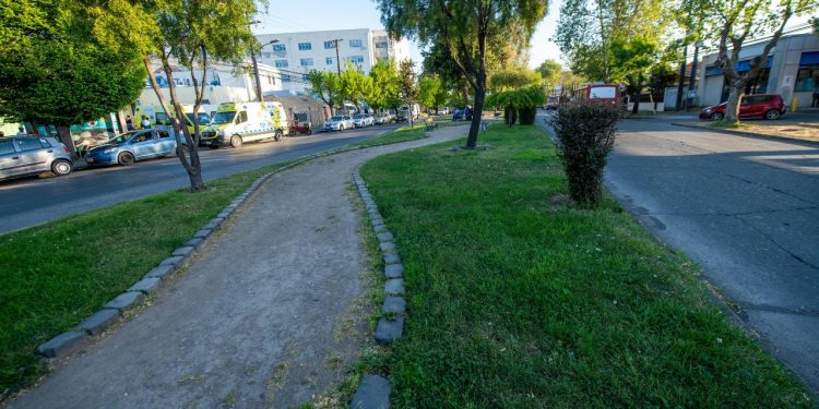 Chillán sumará nueva ciclovía bidireccional en Avenida Argentina