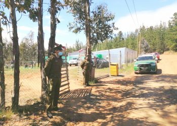 Ninhue: Detienen a 38 personas que participaban en pelea clandestina de gallos