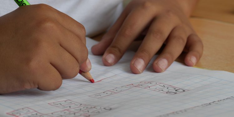 Ñuble: Hasta el 30 de octubre se podrán revisar postulaciones al Sistema de Admisión Escolar