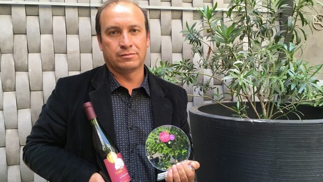 Productor de Guarilihue ganó el premio al Mejor Vino Ancestral 2020 en Catad’Or