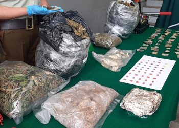Desarticulan banda criminal e incautan 15 mil dosis de diversas drogas en Chillán y Pinto
