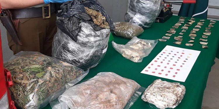 Desarticulan banda criminal e incautan 15 mil dosis de diversas drogas en Chillán y Pinto