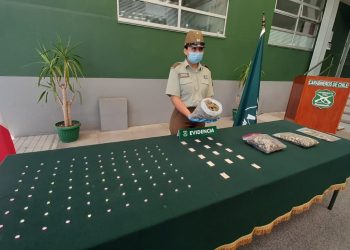Incautan más de 7 mil dosis de marihuana y éxtasis en control carretero en Ñuble