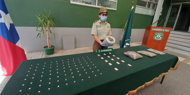 Incautan más de 7 mil dosis de marihuana y éxtasis en control carretero en Ñuble