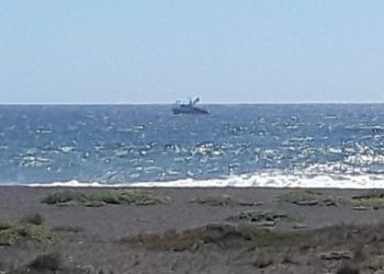 Reportan presencia de barcos pesqueros en borde costero de Cobquecura