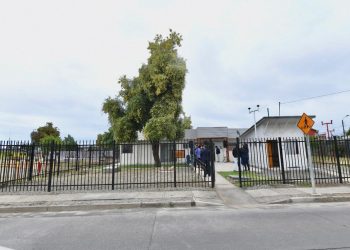 Inauguran centro veterinario municipal que atenderá a 12 mil mascotas en Chillán