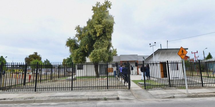 Inauguran centro veterinario municipal que atenderá a 12 mil mascotas en Chillán