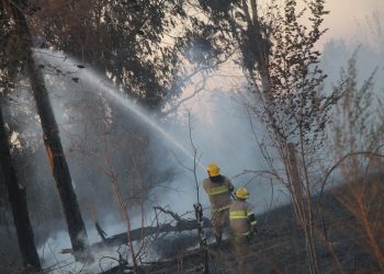 Refuerzan llamado a la prevención de incendios forestales con origen en cosechas agrícolas