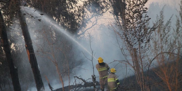 Refuerzan llamado a la prevención de incendios forestales con origen en cosechas agrícolas