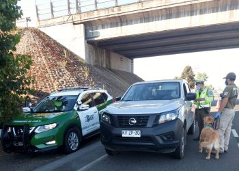 Balance Año Nuevo: Un 53% bajan accidentes de tránsito en Ñuble