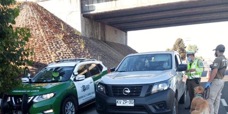 Balance Año Nuevo: Un 53% bajan accidentes de tránsito en Ñuble