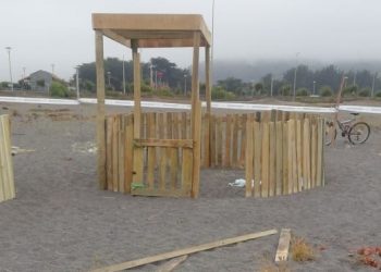 Destruyen corrales que protegen a lobitos varados en Cobquecura