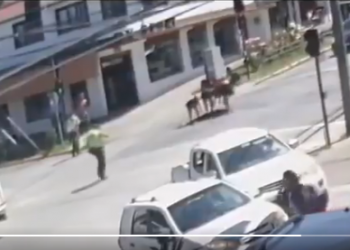 Carabinero imputado por homicidio de malabarista quedó con arresto domiciliario total