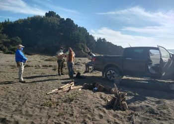 Cobquecura: dos surfistas y dos turistas detenidos por infringir la cuarentena