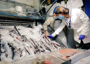 Delimitan zona de pescados en feria de Chillán