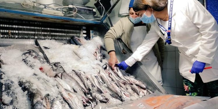 Delimitan zona de pescados en feria de Chillán