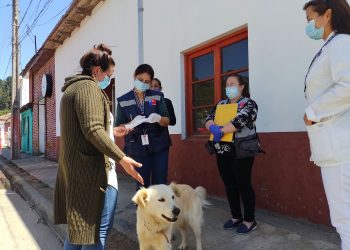 Cuatro vacunaciones antirrábicas se han realizado este año tras confirmación de rabia en murciélagos