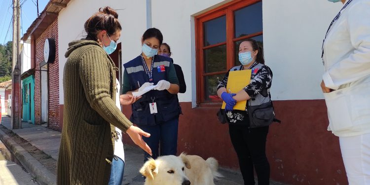 Cuatro vacunaciones antirrábicas se han realizado este año tras confirmación de rabia en murciélagos