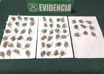 Detienen en Chillán Viejo a sujeto que portaba bolsas con marihuana elaborada