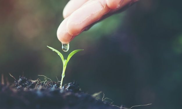 Una mirada integral al uso del agua