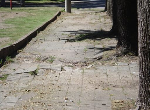 Arreglarán calles y veredas en el centro de Chillán