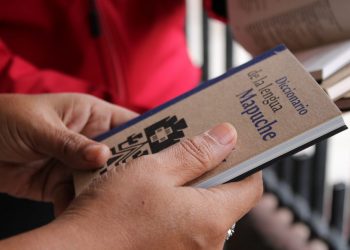 Buscan revitalizar lenguas originarias con entrega de diccionarios a asociaciones indígenas de Ñuble