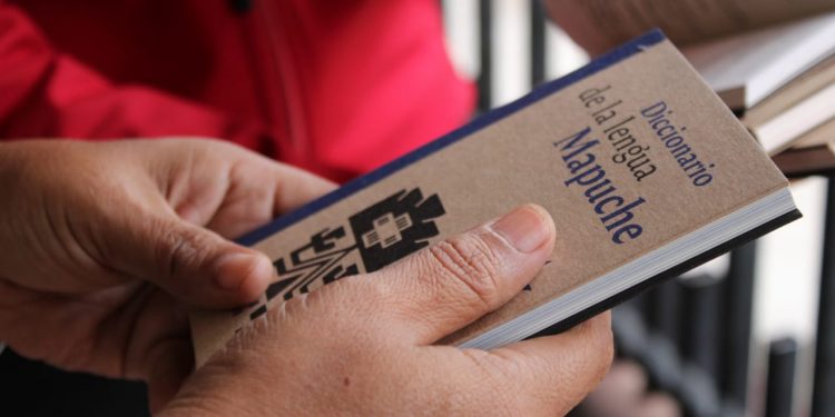 Buscan revitalizar lenguas originarias con entrega de diccionarios a asociaciones indígenas de Ñuble