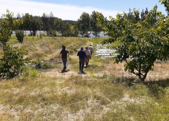 Destacan avances en estudio para mejorar regadío en comuna de Ránquil