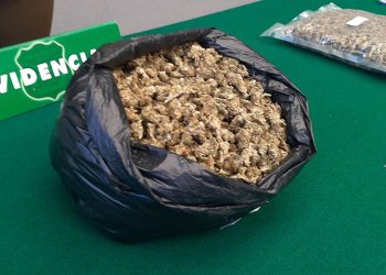 Pemuco: Detienen a pareja que llevaba más de dos kilos de droga en la parte trasera de vehículo