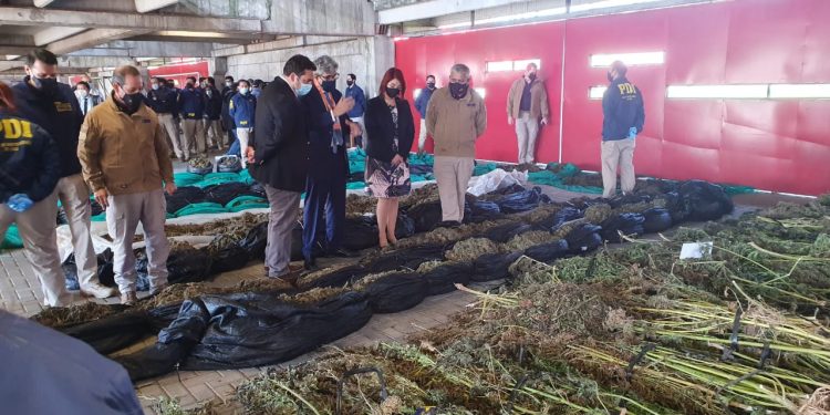 Incautan cuatro toneladas de droga: El mayor decomiso en Ñuble