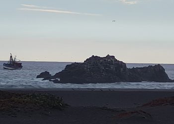 Reportan presencia de barcos pesqueros en zona cercana a Santuario Natural «La Lobería» en Cobquecura
