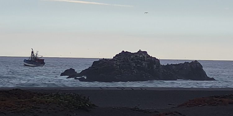 Reportan presencia de barcos pesqueros en zona cercana a Santuario Natural «La Lobería» en Cobquecura