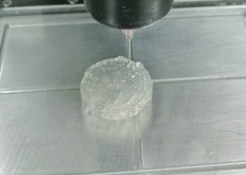 Fondecyt UBB busca aprovechar subproductos del salmón para impresión de alimentos 3D
