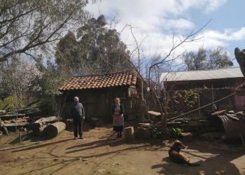Cobquecura: Actualizan catastro de familias que no cuentan con energía eléctrica domiciliaria