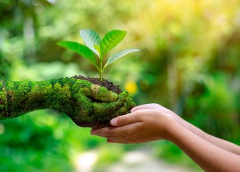 Destacan formas de cuidado de la Biodiversidad