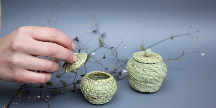 En Ñuble buscan incentivar el oficio de la cestería en pita