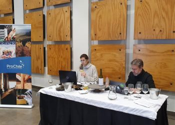 Expertos seleccionan 36 vinos del Valle del Itata para su promoción internacional