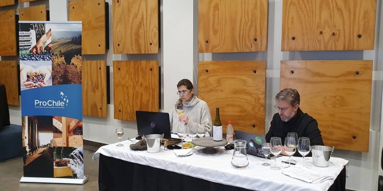 Expertos seleccionan 36 vinos del Valle del Itata para su promoción internacional