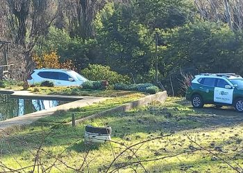 Adulto mayor muere ahogado tras caer a piscina en Quillón